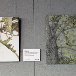 June 22, 2026. Tour of the Rocky Mountain Society of Botanical Artists exhibition: Trees: A Visual Narrative of our Enduring Relationship with Trees Throughout the Seasons.
